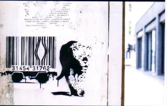 Why was a professional translator necessary?